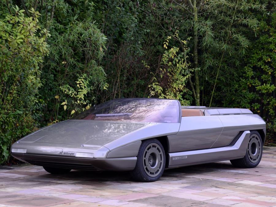  Lamborghini Athon Speedster Concept 1980 года  (фото 4 из 18)
